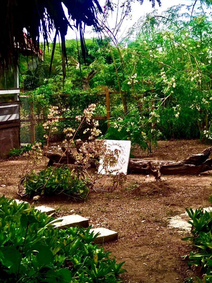 Moringa Ingadi Villa เทรเชอร์ บีช ภายนอก รูปภาพ